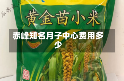 赤峰知名月子中心费用多少