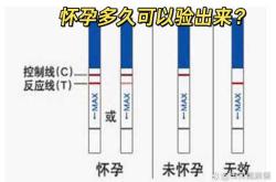 怀孕多久能用试纸测出来