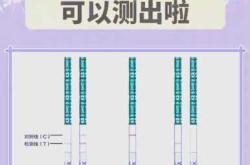 同房后多久能测出怀孕
