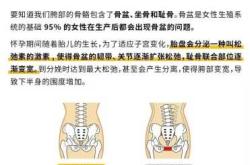 产后修复骨盆最佳时间何时