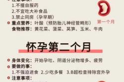 为什么备孕要吃叶酸片
