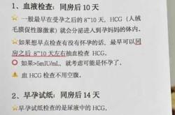 什么时候能验出是否怀孕