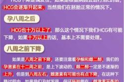 hcg与孕反有怎样的关联