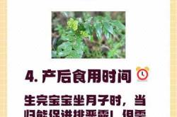 备孕能喝当归补血吗