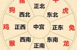 犯月子属相有什么说法吗