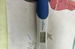 备孕女子梦见两只老虎有何寓意