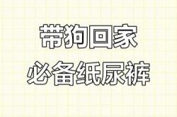 狗狗出门用尿不湿可行吗