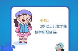 准备备孕打加强针有影响吗