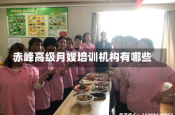 赤峰高级月嫂培训机构有哪些