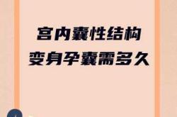有孕反会是空囊吗