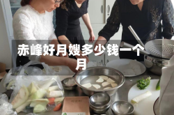赤峰好月嫂多少钱一个月
