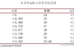 孕63周孕反有哪些表现和应对