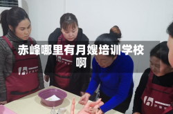 赤峰哪里有月嫂培训学校啊