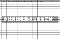 赤峰月嫂收费标准表格图片