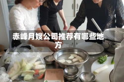 赤峰月嫂公司推荐有哪些地方