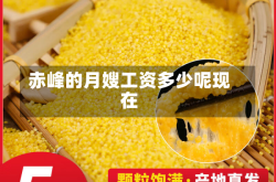 赤峰的月嫂工资多少呢现在