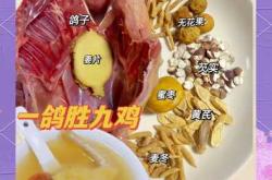 婴儿能吃鸽子肉吗