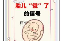 肚子饿为何会出现孕反