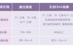 怀孕多久能测DNA