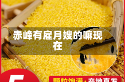 赤峰有雇月嫂的嘛现在