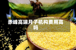 赤峰高端月子机构费用高吗