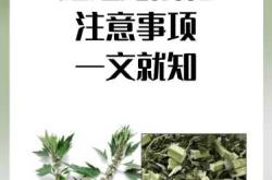 男性备孕能吃益母草吗