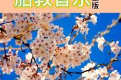 音乐胎教方案名字该怎么起