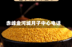 赤峰金河城月子中心电话