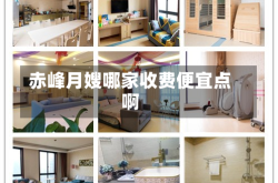 赤峰月嫂哪家收费便宜点啊