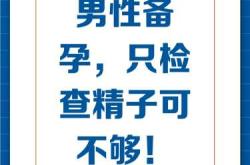 没怀孕男性需要备孕吗