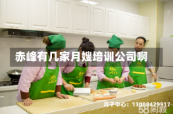 赤峰有几家月嫂培训公司啊