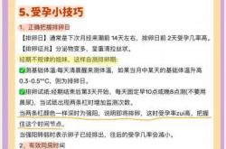 生女儿怎么备孕有哪些方法
