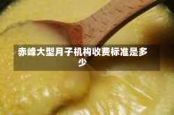 赤峰大型月子机构收费标准是多少