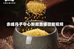 赤峰月子中心新闻直播回放视频