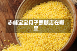赤峰宝宝月子照顾店在哪里