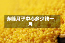 赤峰月子中心多少钱一月