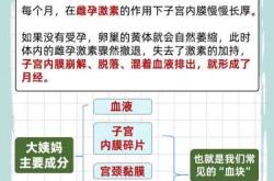 产后月经有血块是怎么回事