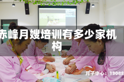 赤峰月嫂培训有多少家机构