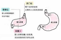 新生儿经常吐奶怎么办