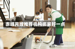 赤峰月嫂推荐机构哪家好一点