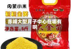 赤峰大型月子中心在哪有啊