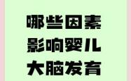 婴儿脑袋图如何帮助理解大脑发育