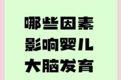 婴儿脑袋图如何帮助理解大脑发育