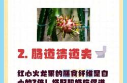 月子里能不能吃火龙果