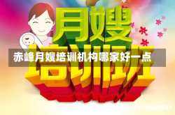 赤峰月嫂培训机构哪家好一点