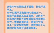 hvp81阳性可以备孕吗
