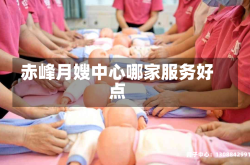 赤峰月嫂中心哪家服务好点