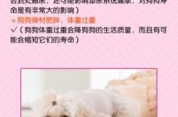狗会伤害婴儿吗