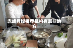 赤峰月嫂推荐机构有哪些地方