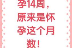 孕14周还会轻微孕反吗
